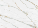 Borghini Royal Quartz Worktop