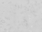 Concrete Oyster Quartz Worktop
